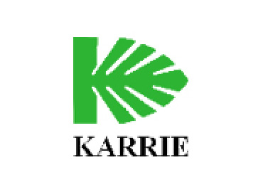 https://www.lmi-academy.com/wp-content/uploads/2020/09/karrie.jpg